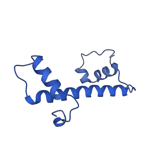 30631_7dbh_C_v1-1
The mouse nucleosome structure containing H3mm18