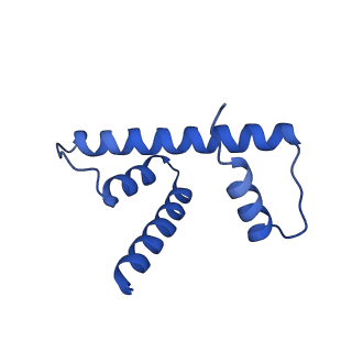 30631_7dbh_D_v1-1
The mouse nucleosome structure containing H3mm18