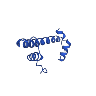 30631_7dbh_F_v1-1
The mouse nucleosome structure containing H3mm18