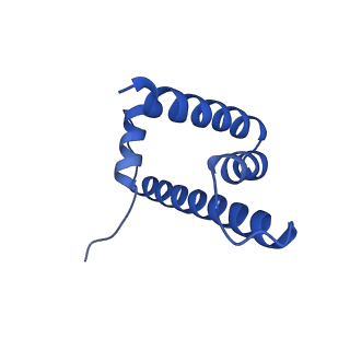 30631_7dbh_H_v1-1
The mouse nucleosome structure containing H3mm18