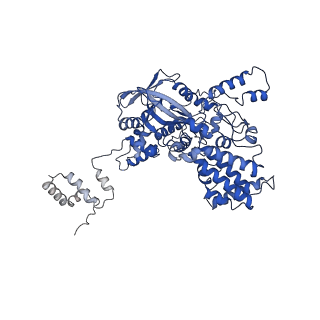 7843_6dbi_A_v1-2
Cryo-EM structure of RAG in complex with 12-RSS and 23-RSS nicked DNA intermediates