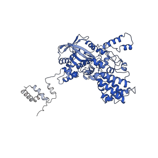 7843_6dbi_A_v1-3
Cryo-EM structure of RAG in complex with 12-RSS and 23-RSS nicked DNA intermediates