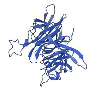 7843_6dbi_B_v1-2
Cryo-EM structure of RAG in complex with 12-RSS and 23-RSS nicked DNA intermediates
