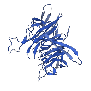 7843_6dbi_B_v1-3
Cryo-EM structure of RAG in complex with 12-RSS and 23-RSS nicked DNA intermediates