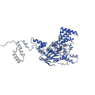 7843_6dbi_C_v1-3
Cryo-EM structure of RAG in complex with 12-RSS and 23-RSS nicked DNA intermediates