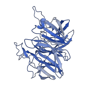 7843_6dbi_D_v1-2
Cryo-EM structure of RAG in complex with 12-RSS and 23-RSS nicked DNA intermediates