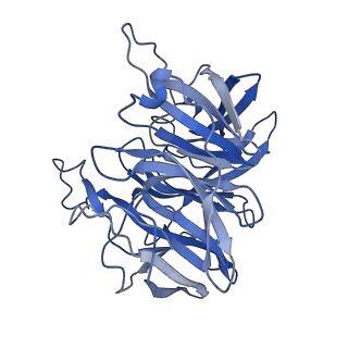 7843_6dbi_D_v1-3
Cryo-EM structure of RAG in complex with 12-RSS and 23-RSS nicked DNA intermediates