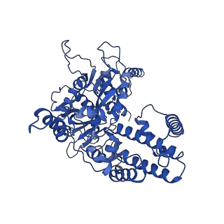 7844_6dbj_A_v1-2
Cryo-EM structure of RAG in complex with 12-RSS and 23-RSS nicked DNA intermediates