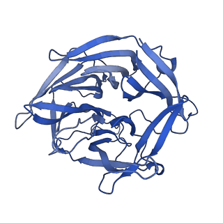 7844_6dbj_B_v1-2
Cryo-EM structure of RAG in complex with 12-RSS and 23-RSS nicked DNA intermediates