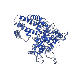 7844_6dbj_C_v1-2
Cryo-EM structure of RAG in complex with 12-RSS and 23-RSS nicked DNA intermediates