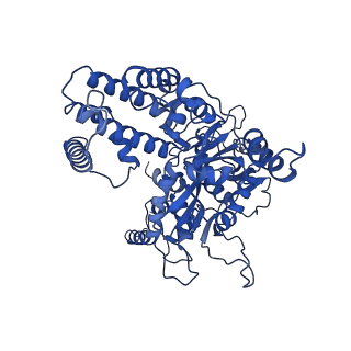 7844_6dbj_C_v1-3
Cryo-EM structure of RAG in complex with 12-RSS and 23-RSS nicked DNA intermediates