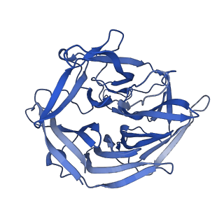 7844_6dbj_D_v1-2
Cryo-EM structure of RAG in complex with 12-RSS and 23-RSS nicked DNA intermediates