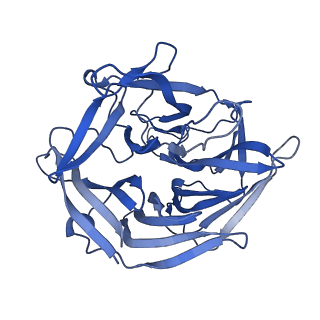 7844_6dbj_D_v1-3
Cryo-EM structure of RAG in complex with 12-RSS and 23-RSS nicked DNA intermediates