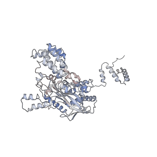 7845_6dbl_A_v1-2
Cryo-EM structure of RAG in complex with 12-RSS and 23-RSS substrate DNAs