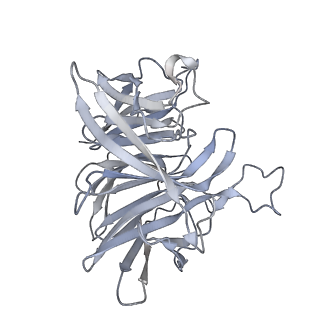 7845_6dbl_B_v1-2
Cryo-EM structure of RAG in complex with 12-RSS and 23-RSS substrate DNAs