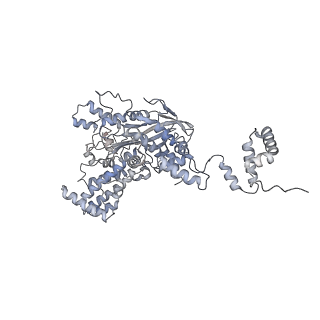7845_6dbl_C_v1-2
Cryo-EM structure of RAG in complex with 12-RSS and 23-RSS substrate DNAs