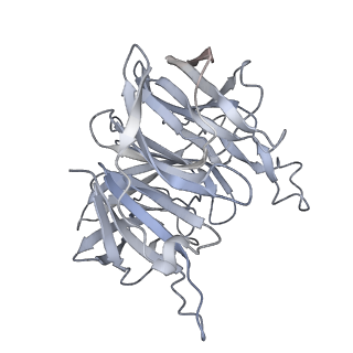 7845_6dbl_D_v1-2
Cryo-EM structure of RAG in complex with 12-RSS and 23-RSS substrate DNAs