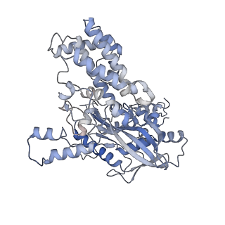 7846_6dbo_A_v1-2
Cryo-EM structure of RAG in complex with 12-RSS and 23-RSS substrate DNAs