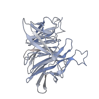 7846_6dbo_B_v1-2
Cryo-EM structure of RAG in complex with 12-RSS and 23-RSS substrate DNAs