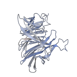 7846_6dbo_B_v1-3
Cryo-EM structure of RAG in complex with 12-RSS and 23-RSS substrate DNAs