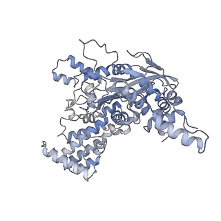 7846_6dbo_C_v1-2
Cryo-EM structure of RAG in complex with 12-RSS and 23-RSS substrate DNAs