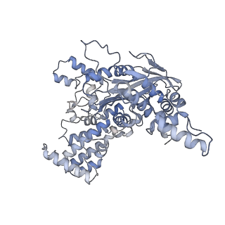 7846_6dbo_C_v1-3
Cryo-EM structure of RAG in complex with 12-RSS and 23-RSS substrate DNAs