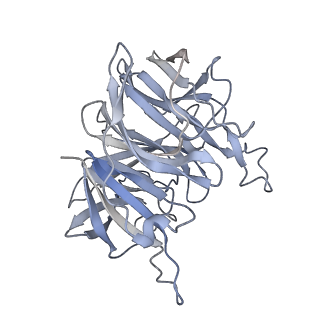 7846_6dbo_D_v1-2
Cryo-EM structure of RAG in complex with 12-RSS and 23-RSS substrate DNAs
