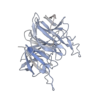 7846_6dbo_D_v1-3
Cryo-EM structure of RAG in complex with 12-RSS and 23-RSS substrate DNAs