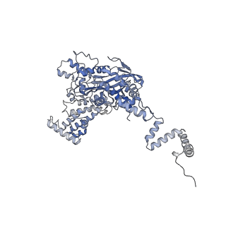 7847_6dbq_A_v1-3
Cryo-EM structure of RAG in complex with 12-RSS and 23-RSS substrate DNAs