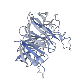 7847_6dbq_B_v1-2
Cryo-EM structure of RAG in complex with 12-RSS and 23-RSS substrate DNAs