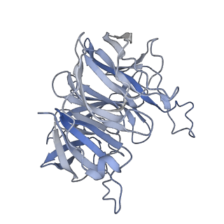 7847_6dbq_B_v1-3
Cryo-EM structure of RAG in complex with 12-RSS and 23-RSS substrate DNAs