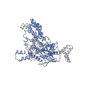 7847_6dbq_C_v1-2
Cryo-EM structure of RAG in complex with 12-RSS and 23-RSS substrate DNAs