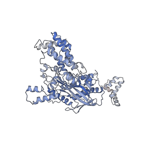 7847_6dbq_C_v1-3
Cryo-EM structure of RAG in complex with 12-RSS and 23-RSS substrate DNAs