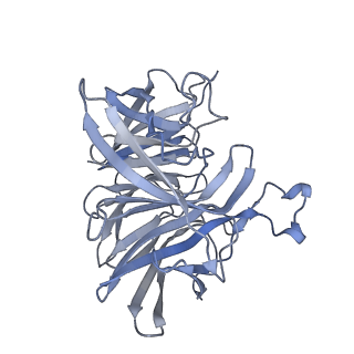 7847_6dbq_D_v1-2
Cryo-EM structure of RAG in complex with 12-RSS and 23-RSS substrate DNAs