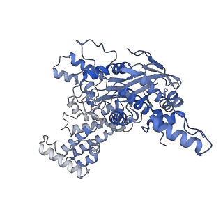 7848_6dbr_A_v1-2
Cryo-EM structure of RAG in complex with one melted RSS and one unmelted RSS