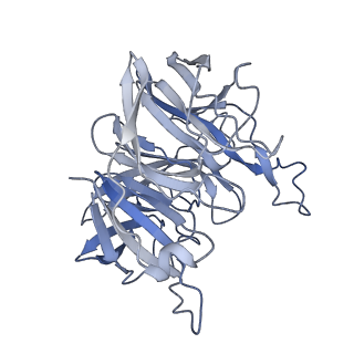 7848_6dbr_B_v1-2
Cryo-EM structure of RAG in complex with one melted RSS and one unmelted RSS