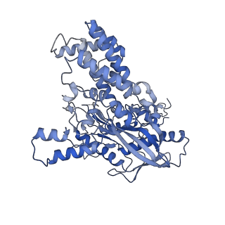 7848_6dbr_C_v1-2
Cryo-EM structure of RAG in complex with one melted RSS and one unmelted RSS