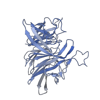 7848_6dbr_D_v1-2
Cryo-EM structure of RAG in complex with one melted RSS and one unmelted RSS