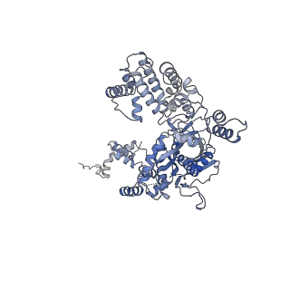 7849_6dbt_A_v1-2
Cryo-EM structure of RAG in complex with 12-RSS and 23-RSS substrate DNAs