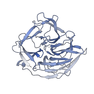 7849_6dbt_B_v1-2
Cryo-EM structure of RAG in complex with 12-RSS and 23-RSS substrate DNAs