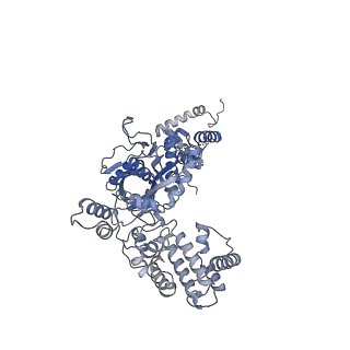 7849_6dbt_C_v1-2
Cryo-EM structure of RAG in complex with 12-RSS and 23-RSS substrate DNAs