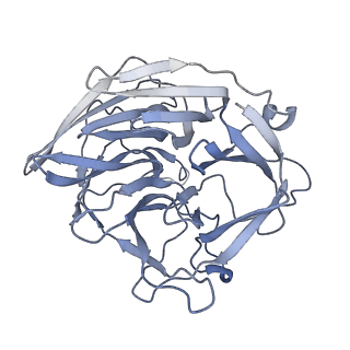 7849_6dbt_D_v1-2
Cryo-EM structure of RAG in complex with 12-RSS and 23-RSS substrate DNAs