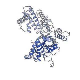 7850_6dbu_A_v1-2
Cryo-EM structure of RAG in complex with 12-RSS and 23-RSS substrate DNAs