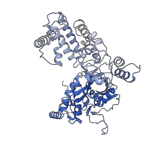 7850_6dbu_A_v1-3
Cryo-EM structure of RAG in complex with 12-RSS and 23-RSS substrate DNAs