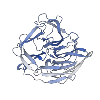 7850_6dbu_B_v1-2
Cryo-EM structure of RAG in complex with 12-RSS and 23-RSS substrate DNAs