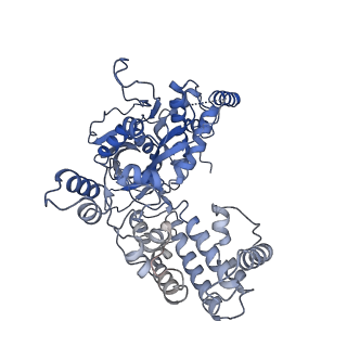 7850_6dbu_C_v1-2
Cryo-EM structure of RAG in complex with 12-RSS and 23-RSS substrate DNAs