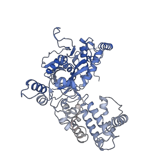 7850_6dbu_C_v1-3
Cryo-EM structure of RAG in complex with 12-RSS and 23-RSS substrate DNAs