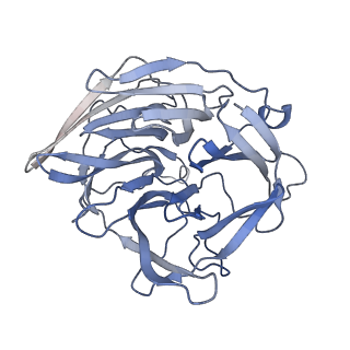 7850_6dbu_D_v1-2
Cryo-EM structure of RAG in complex with 12-RSS and 23-RSS substrate DNAs