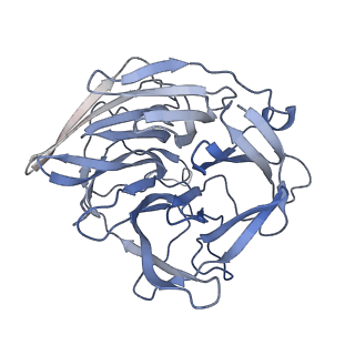 7850_6dbu_D_v1-3
Cryo-EM structure of RAG in complex with 12-RSS and 23-RSS substrate DNAs