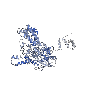 7851_6dbv_A_v1-2
Cryo-EM structure of RAG in complex with 12-RSS and 23-RSS substrate DNAs